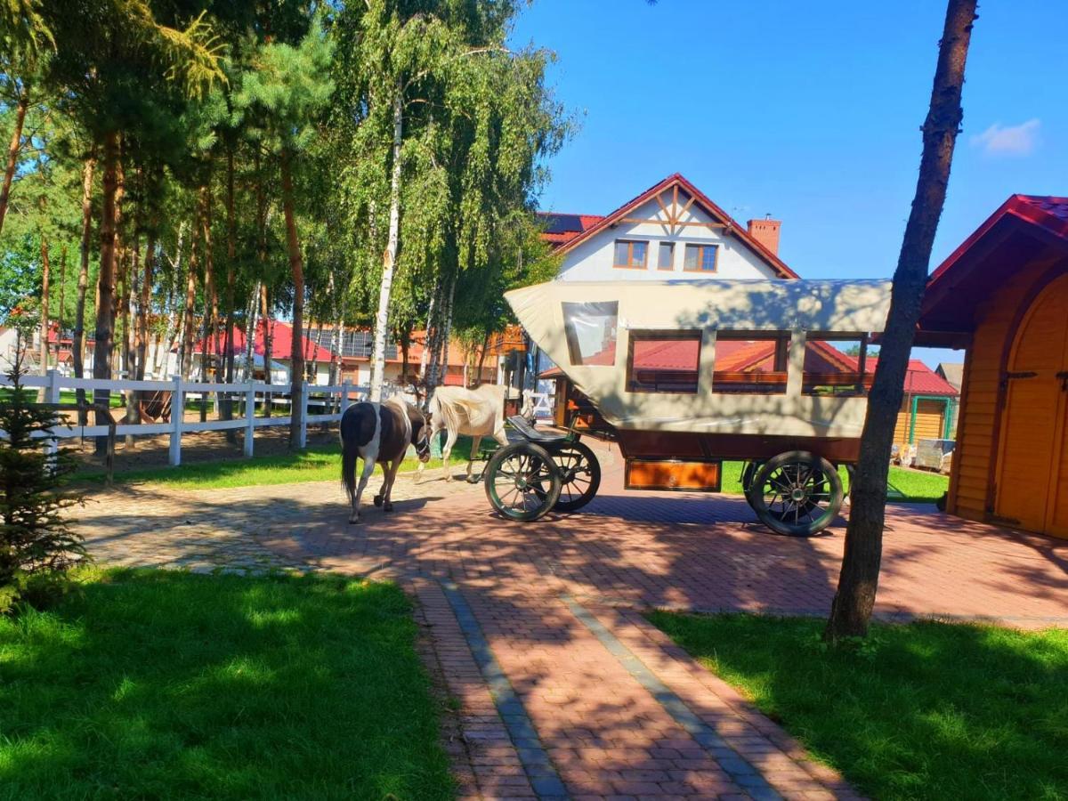 Osrodek Agroturystyczny Zacisze Villa Giewartów Exterior foto